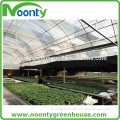 Gothic high tunnel galvanized greenhouse